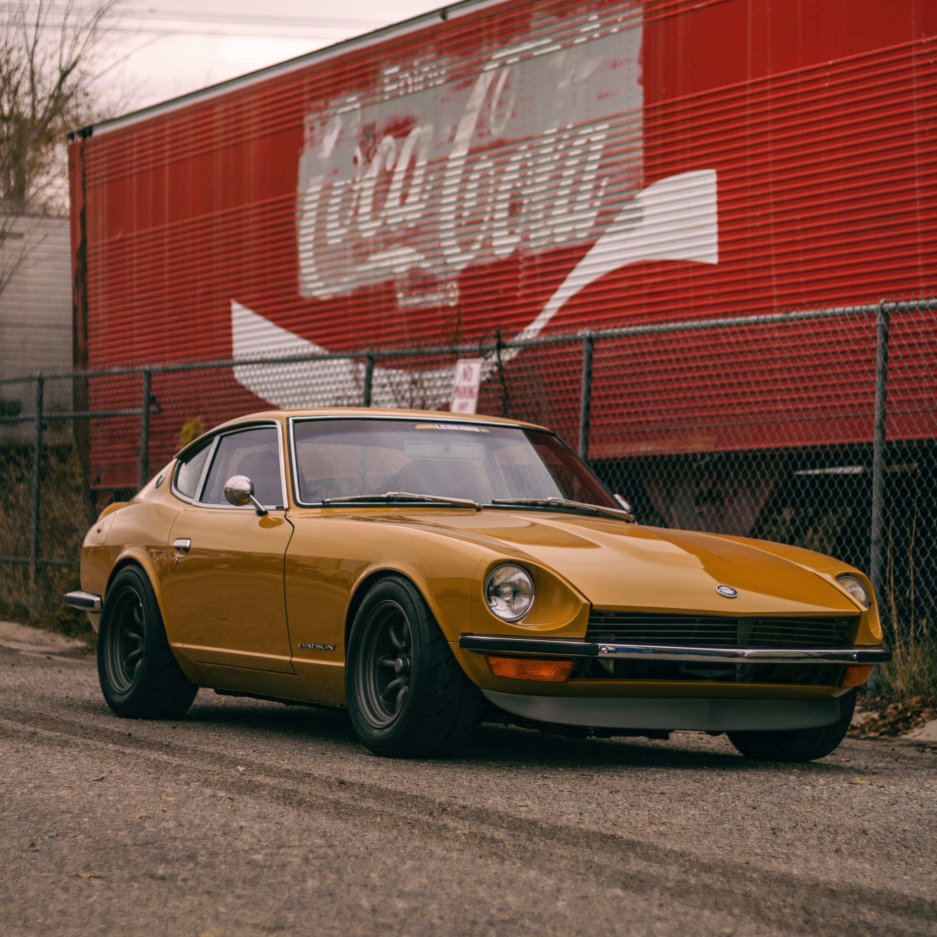Queen Bee 240Z